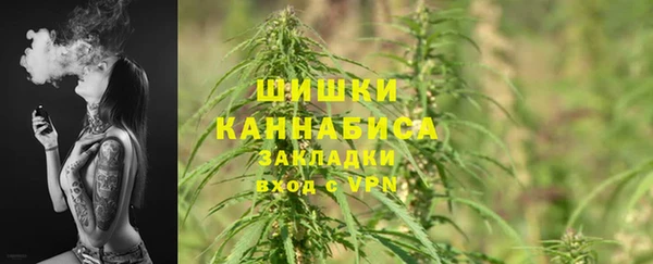 спиды Гусев