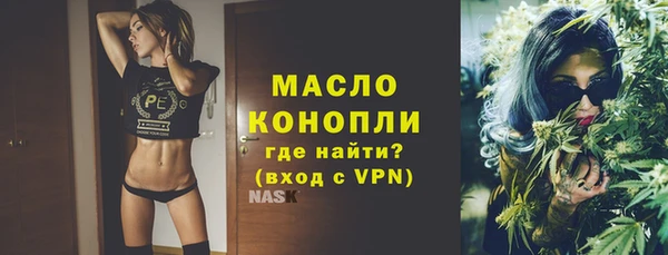 индика Дмитриев
