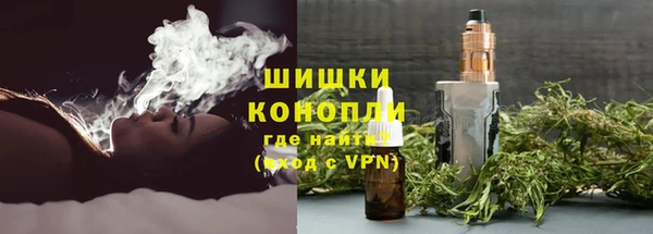 индика Дмитриев