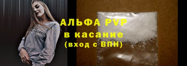 индика Дмитриев