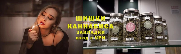 индика Дмитриев