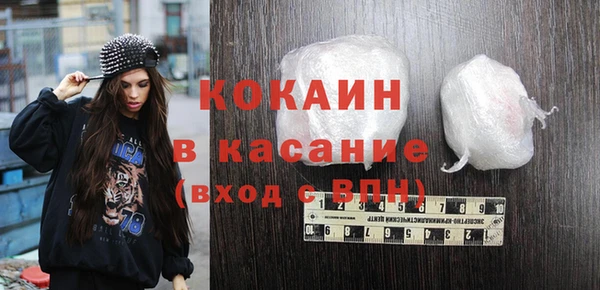 гидра Елабуга