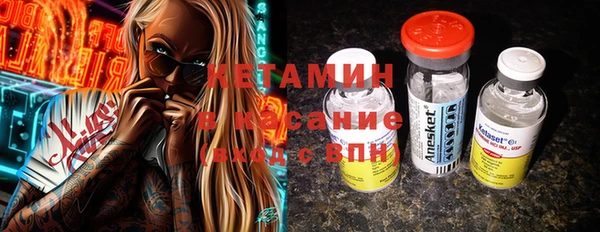 индика Дмитриев