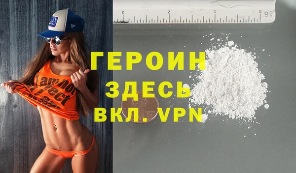индика Дмитриев