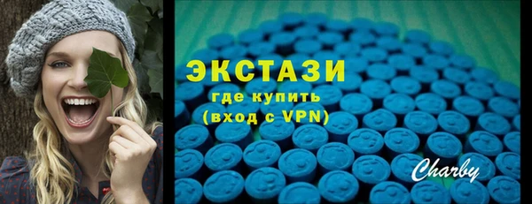 индика Дмитриев