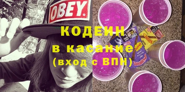 индика Дмитриев