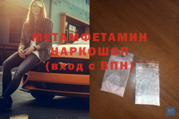 индика Дмитриев