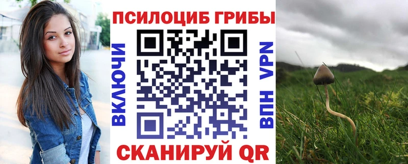 Купить  Исилькуль  Галлюциногенные грибы MAGIC MUSHROOMS 