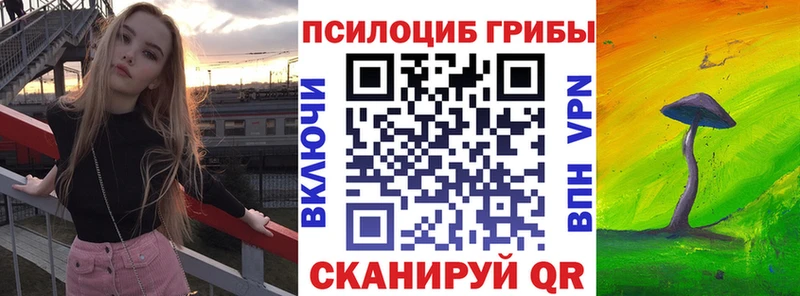 Псилоцибиновые грибы Psilocybe Исилькуль